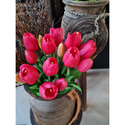 Tulpen fuchsia 40cm