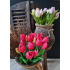 Tulpen fuchsia 40cm