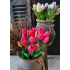 Tulpen fuchsia 40cm