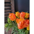 Papegaai tulp Orange 40cm