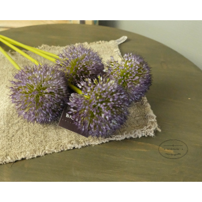 Allium purple 75 cm